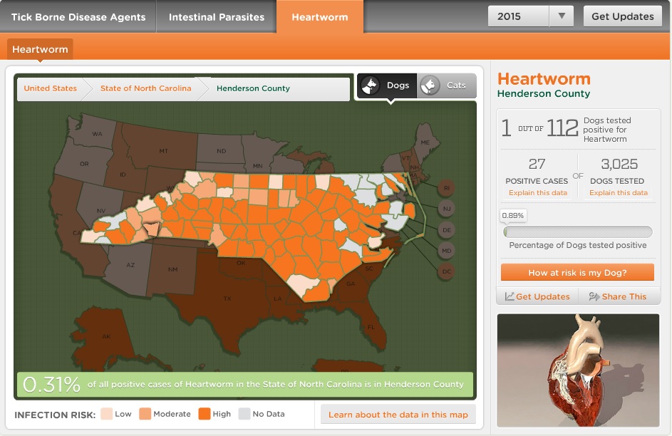 Apple Valley Animal Hospital Hendersonville, NC Heartworm FAQs